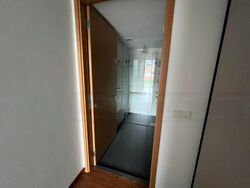The Verandah Residences (D5), Terrace #507900951